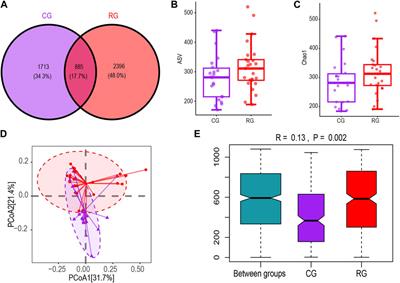 The impact of exercise on the gut microbiota in middle-aged amateur serious runners: a comparative study